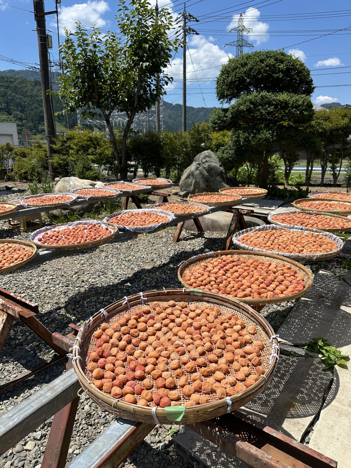 夏本番